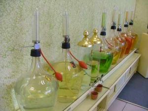 Yağların Cildimize Faydaları