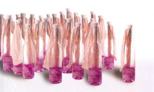 Toksik Şok Sendromu