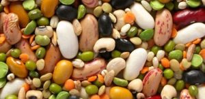 Kuru baklagiller Hayat Kurtarıyor