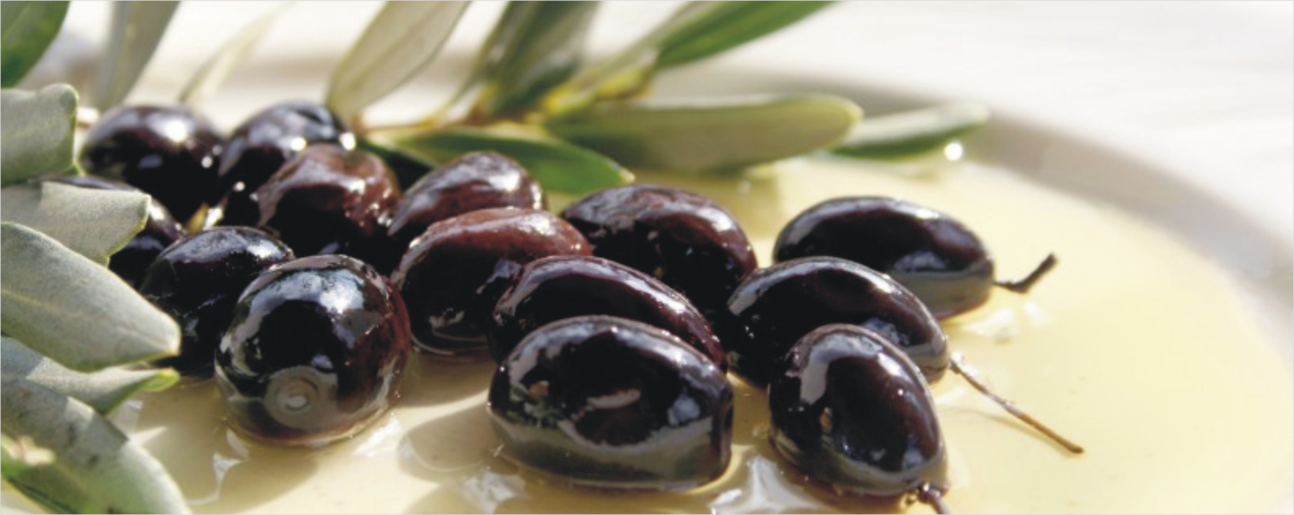 zeytin