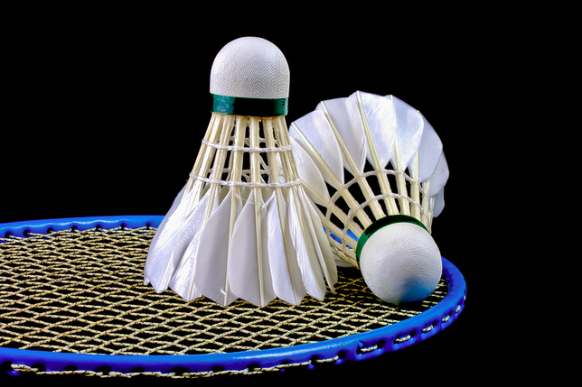 Badminton Nasıl Oynanır