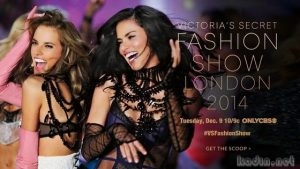 Victoria’s Secret Fashion Show 2014