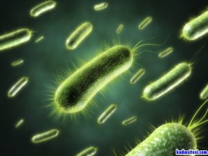 Crohn Hastalığı Nedir? Crohn Hastalığı Belirtileri Nelerdir?