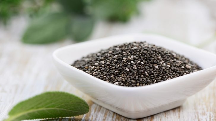 Chia Tohumu