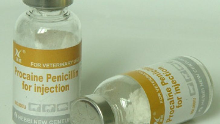 Penisilin